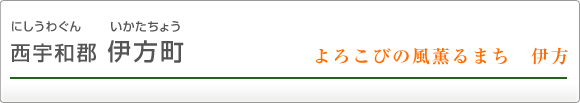 西宇和郡伊方町 よろこびの風薫るまち 伊方